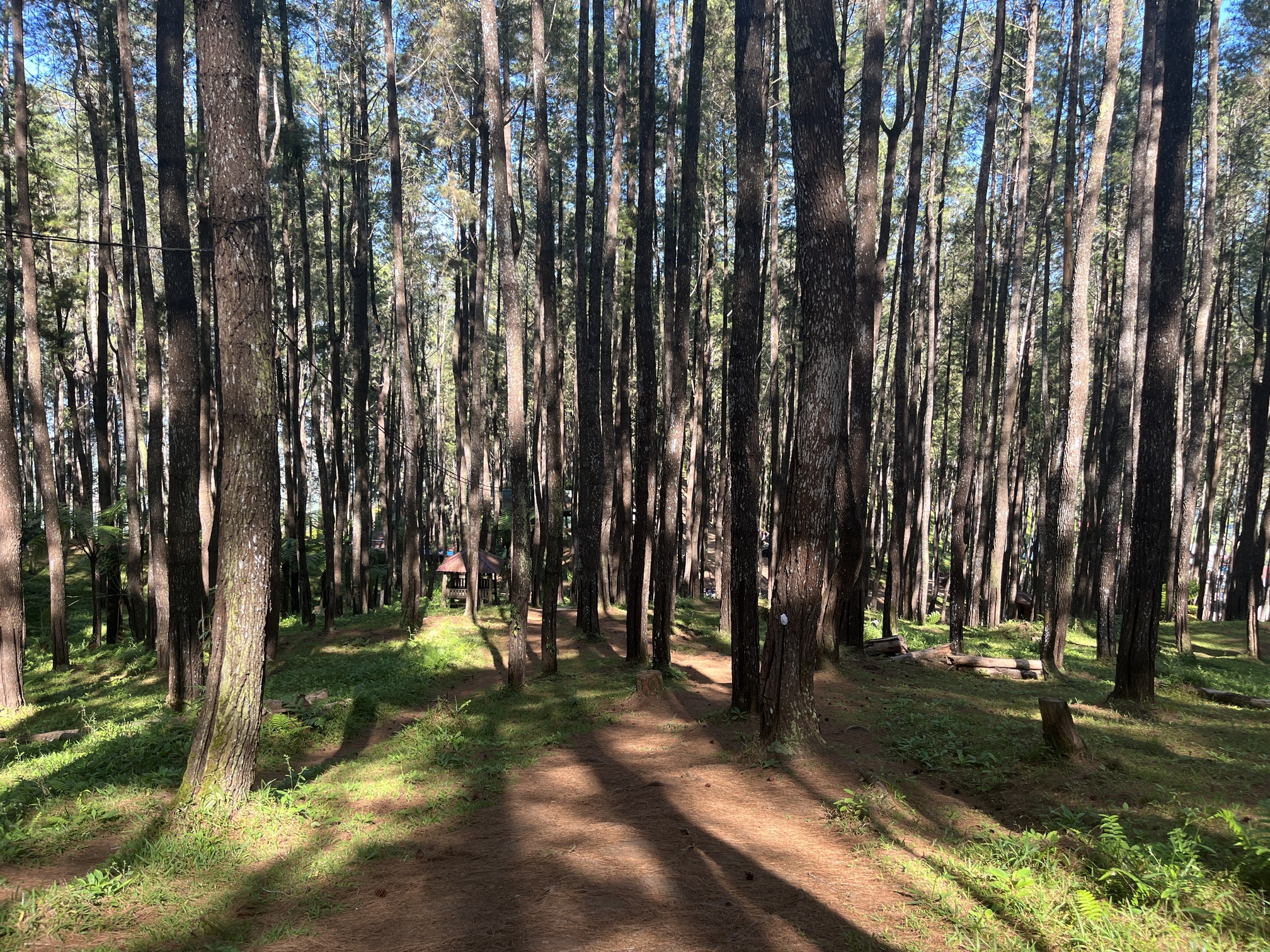 Lorem Ipsum Example News